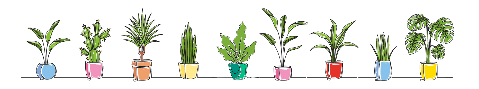 A_plants_in_pots