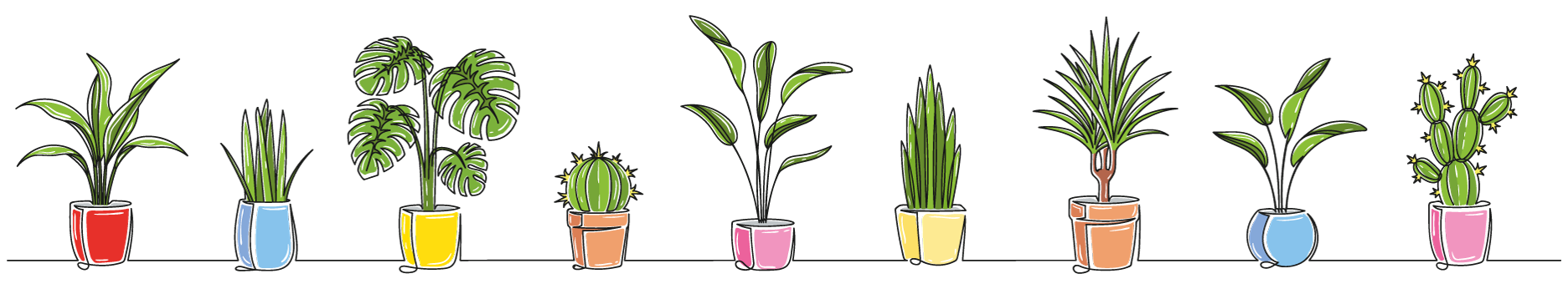 1-2_flowers_in_pots