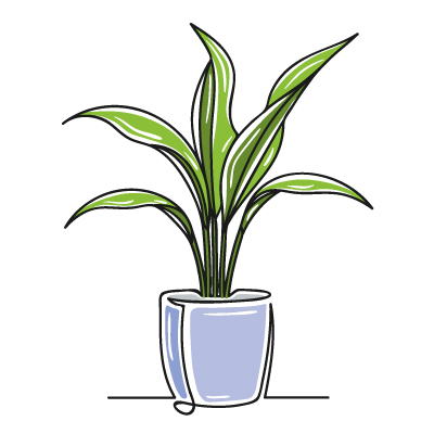 Greenery Office Interiors Support Staff Austin