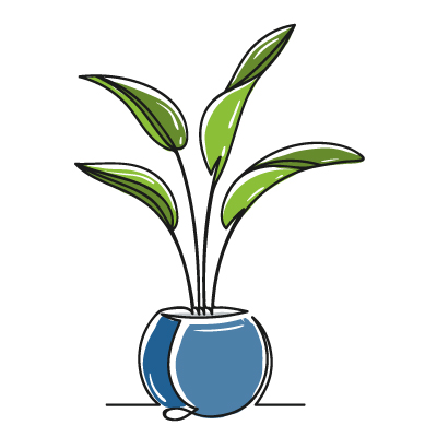 plant_8_square