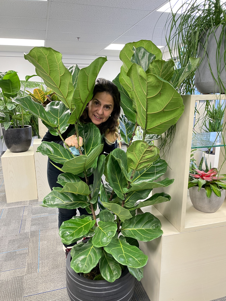 hort_tech