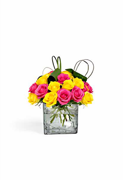 Sunshine Rose Cube