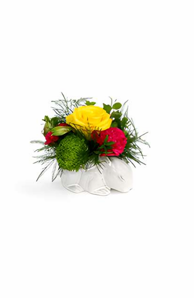 Golden Meadow Mini Arrangement
