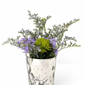 Violet Mist Silver Pot