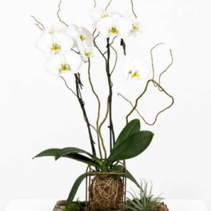 Woodland Orchid Sculpture