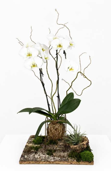 Woodland Orchid Sculpture