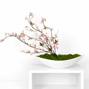 Sakura Moss Bowl