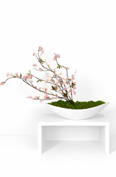 Sakura Moss Bowl