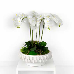 Snowfall Orchid Bowl