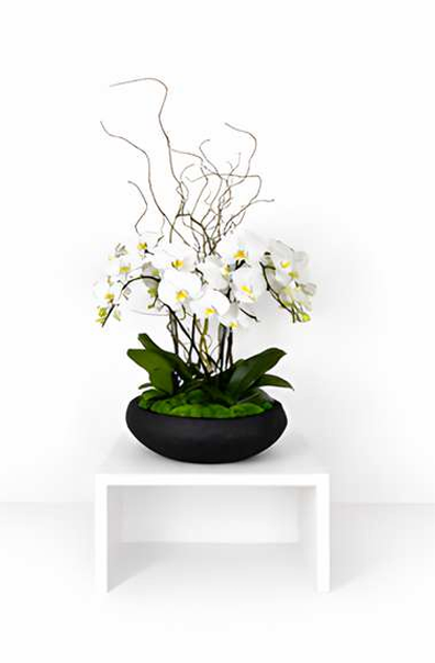 Zen Orchid Garden Bowl
