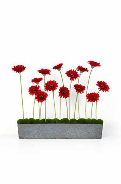 Scarlet Stemline Arrangement