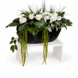 Ivory Cascade Bowl Arrangement